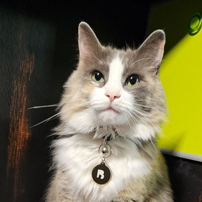 Fossey profile picture