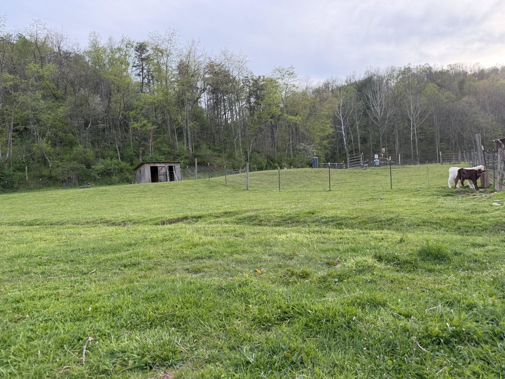 Five B Farm Boarding, photo 1