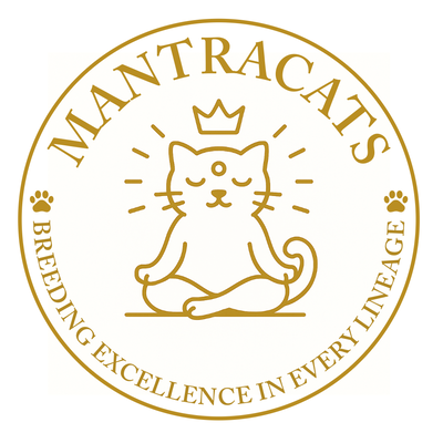 Mantra Cats Cattery profile picture