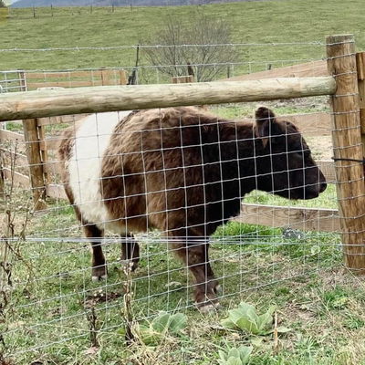 Winnie profile picture