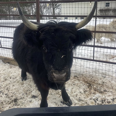 Taylor profile picture