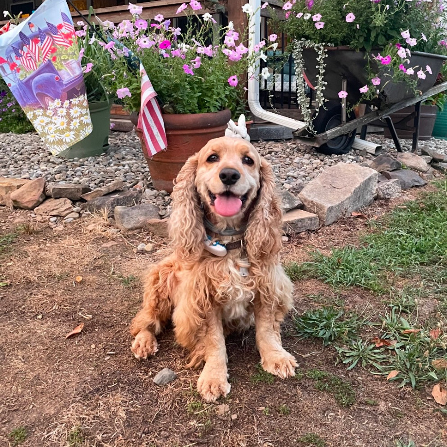 Remington profile picture