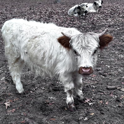 Gemma profile picture