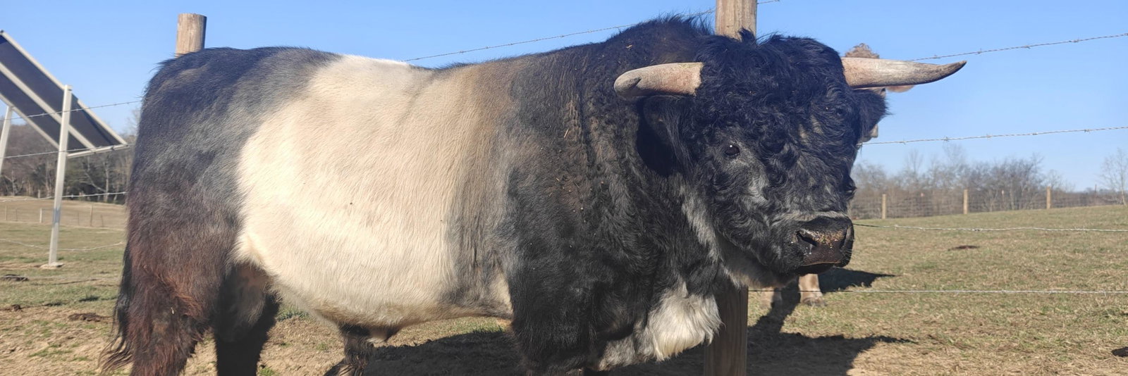 Back Road Farms profile cover image