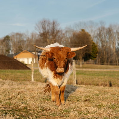 BPF Amarillo profile picture