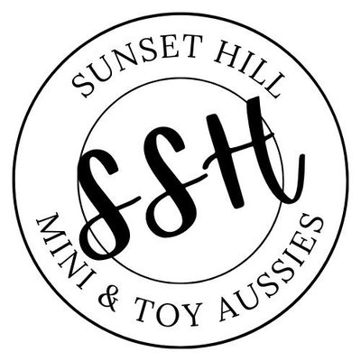 Sunset Hill Mini & Toy Aussies profile picture