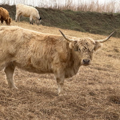 Mable profile picture