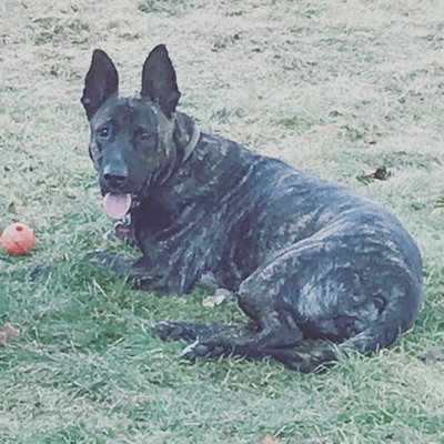 Kahlua profile picture