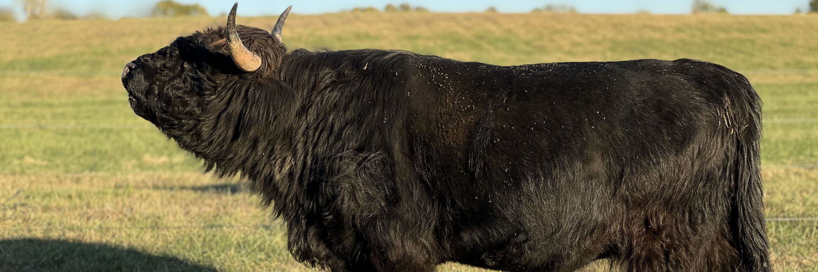 Samantha Kiely profile cover image