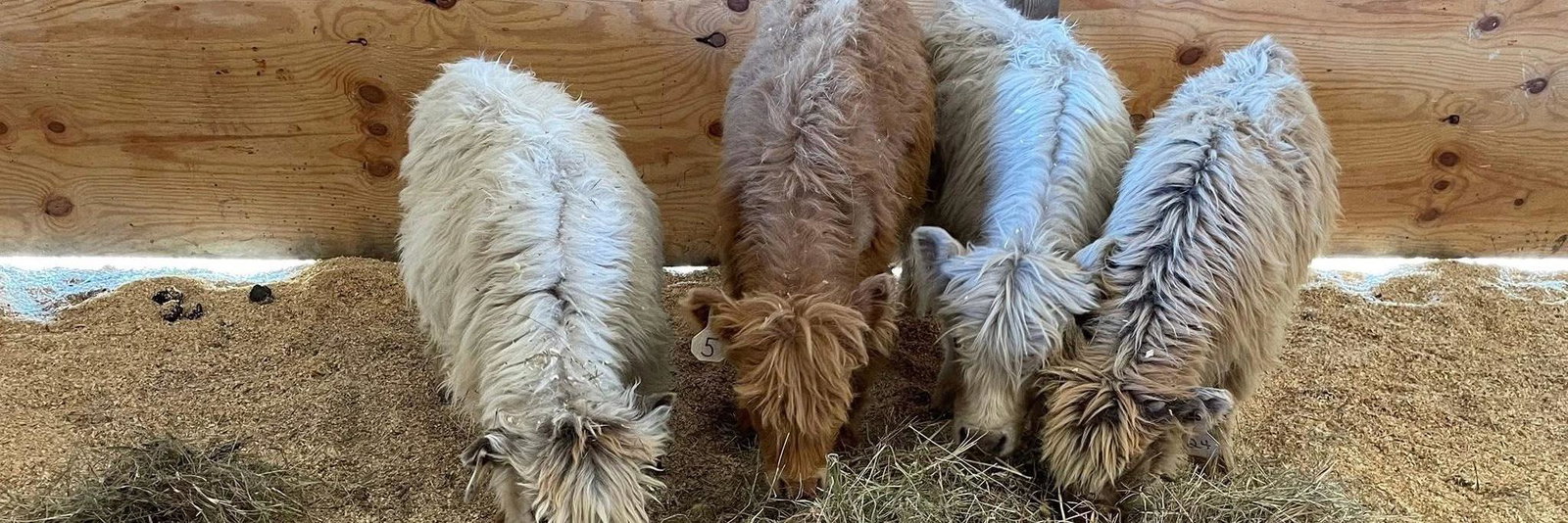 Cathy Brown profile cover image