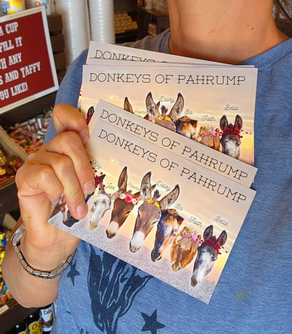 Donkeys of Pahrump Private Tour, photo 5