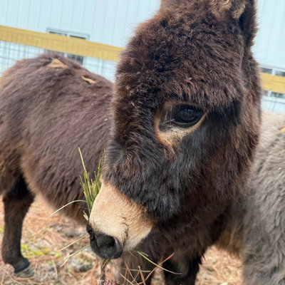Edward profile picture