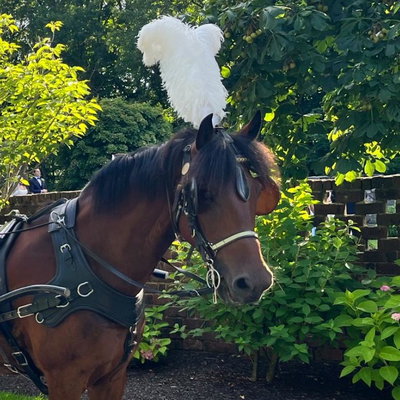Duncan profile picture