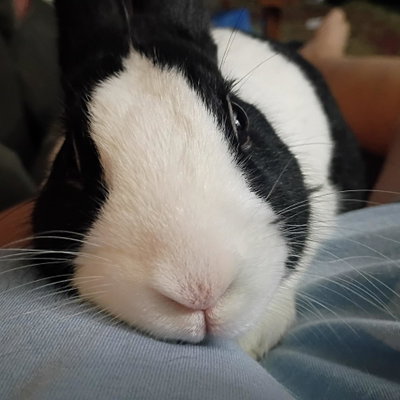 Beet profile picture
