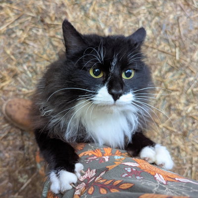 Bobbie Girl profile picture