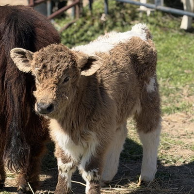 Lander profile picture