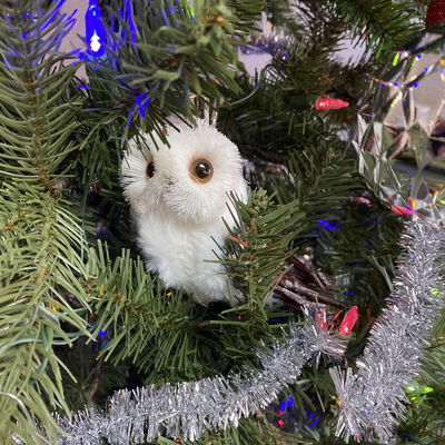 Marie Casas profile picture