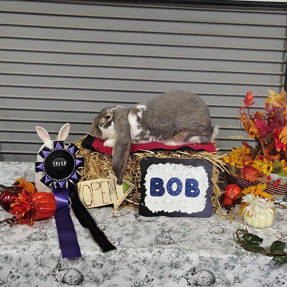RabbitHeavenTlc's Eeyore