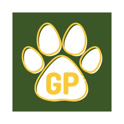 Golden Puppies profile picture