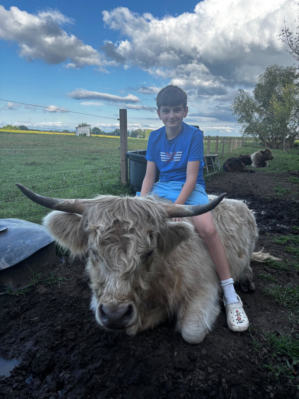 Cow Cuddle Day, photo 7