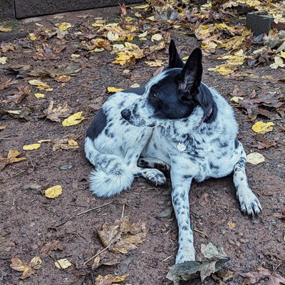 Lola profile picture