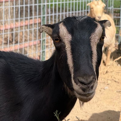 Gladys profile picture