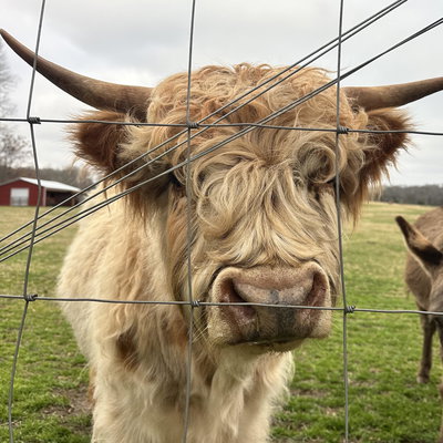 Reni profile picture