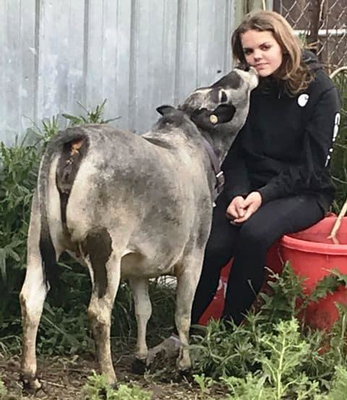 Smokey Valley’s Calambity profile picture