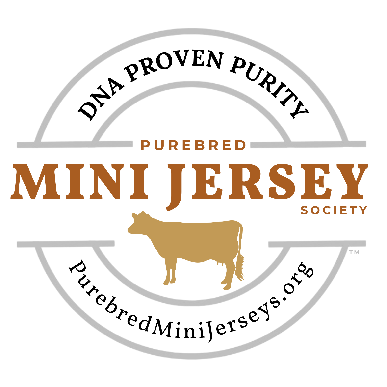 Purebred Mini Jersey Society & Registry profile picture