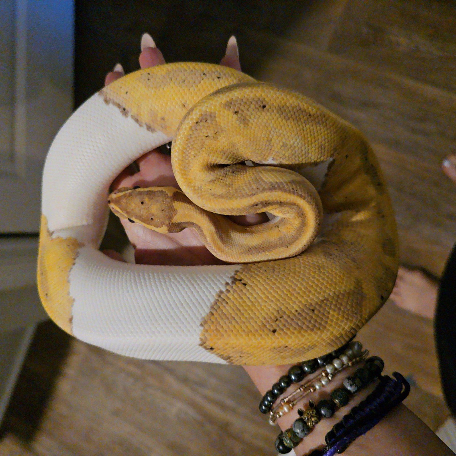 Hera