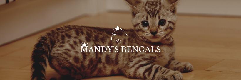 Mandysbengals profile cover image