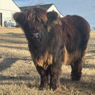 Reecee profile picture