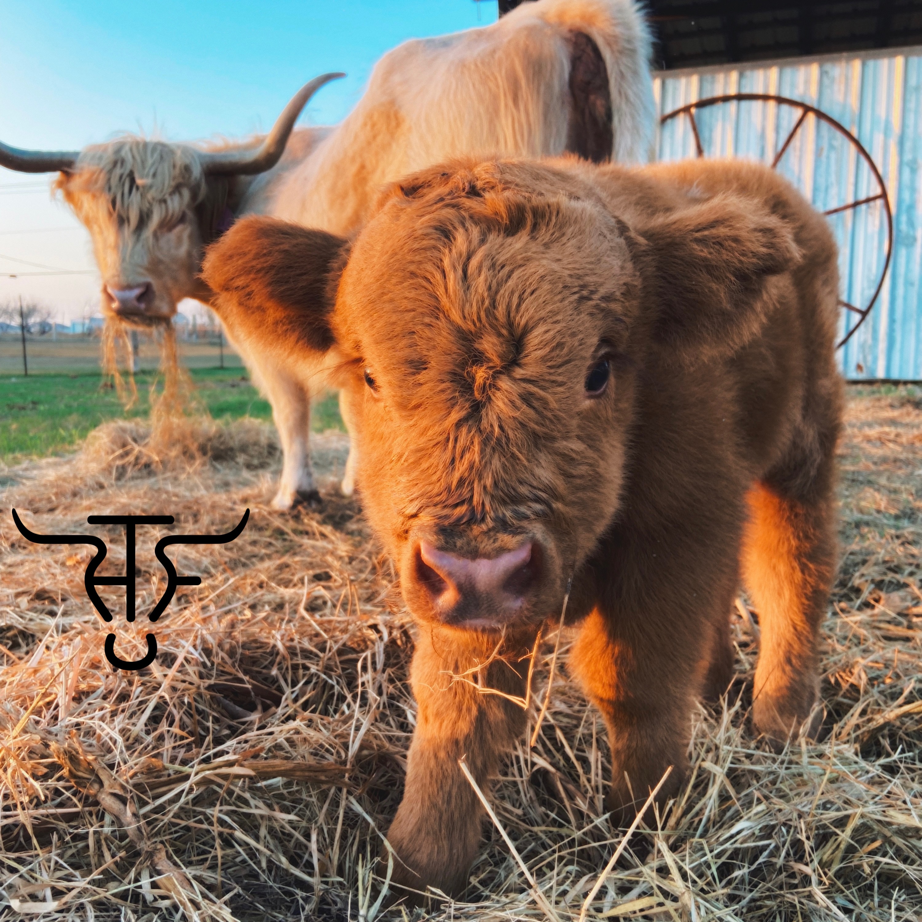 High Tide Farms profile picture
