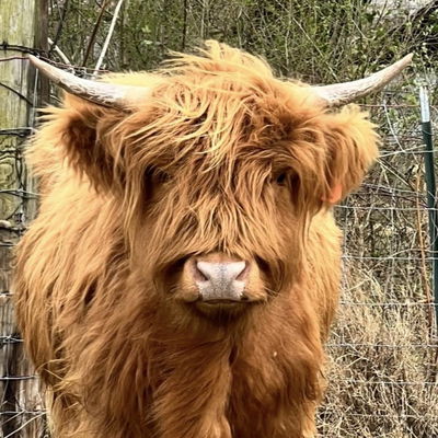 Millie profile picture