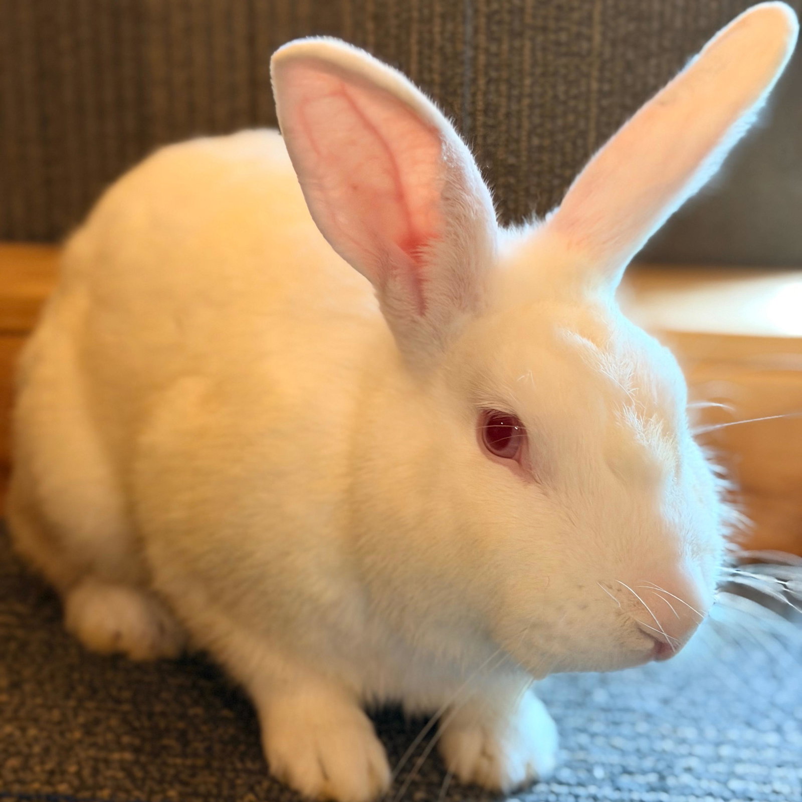 Casper