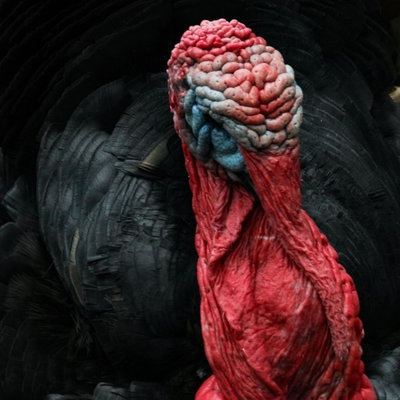 Thanksgiving profile picture