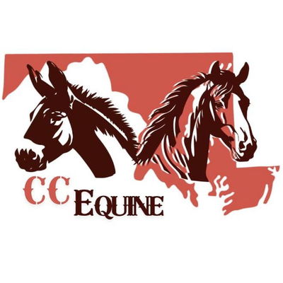 CC Equine profile picture