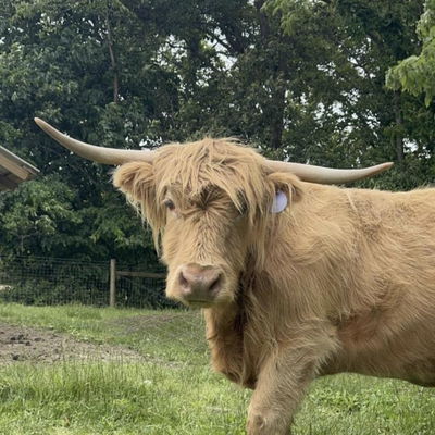 Bertha profile picture