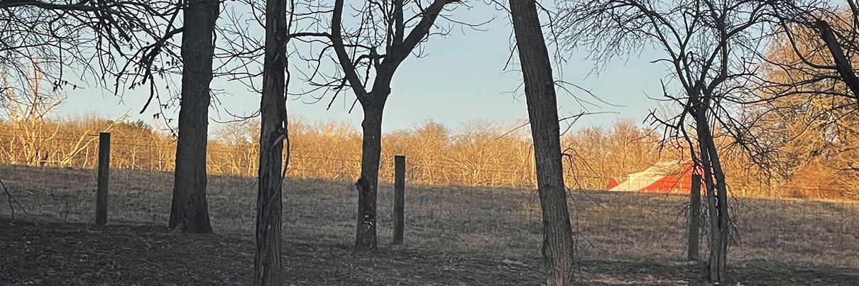 Eversole Run Farm Cattle LLC profile cover image