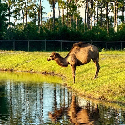 Herbert profile picture