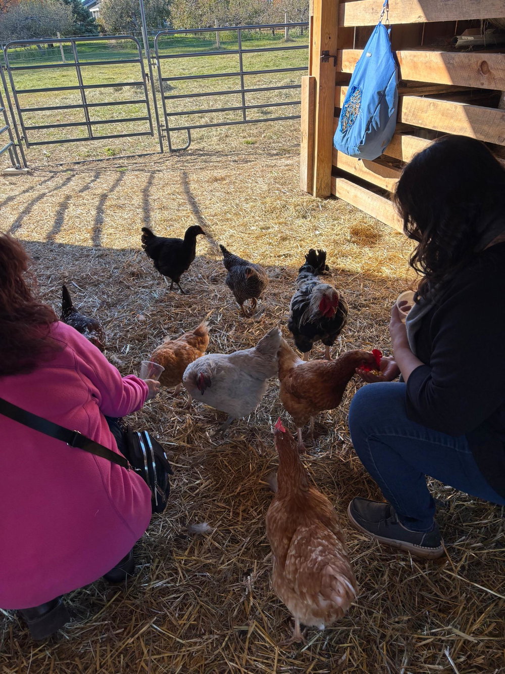 Highland Farm Tour, photo 6