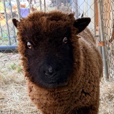 Ethel profile picture