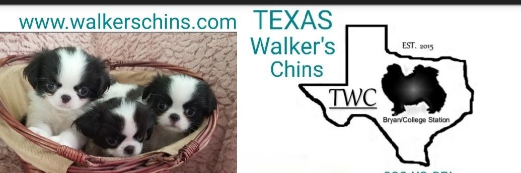 Texas Walker's Chin profile cover image