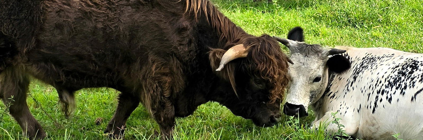 Cassaundra Keller profile cover image