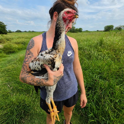 Ashley Walton profile picture