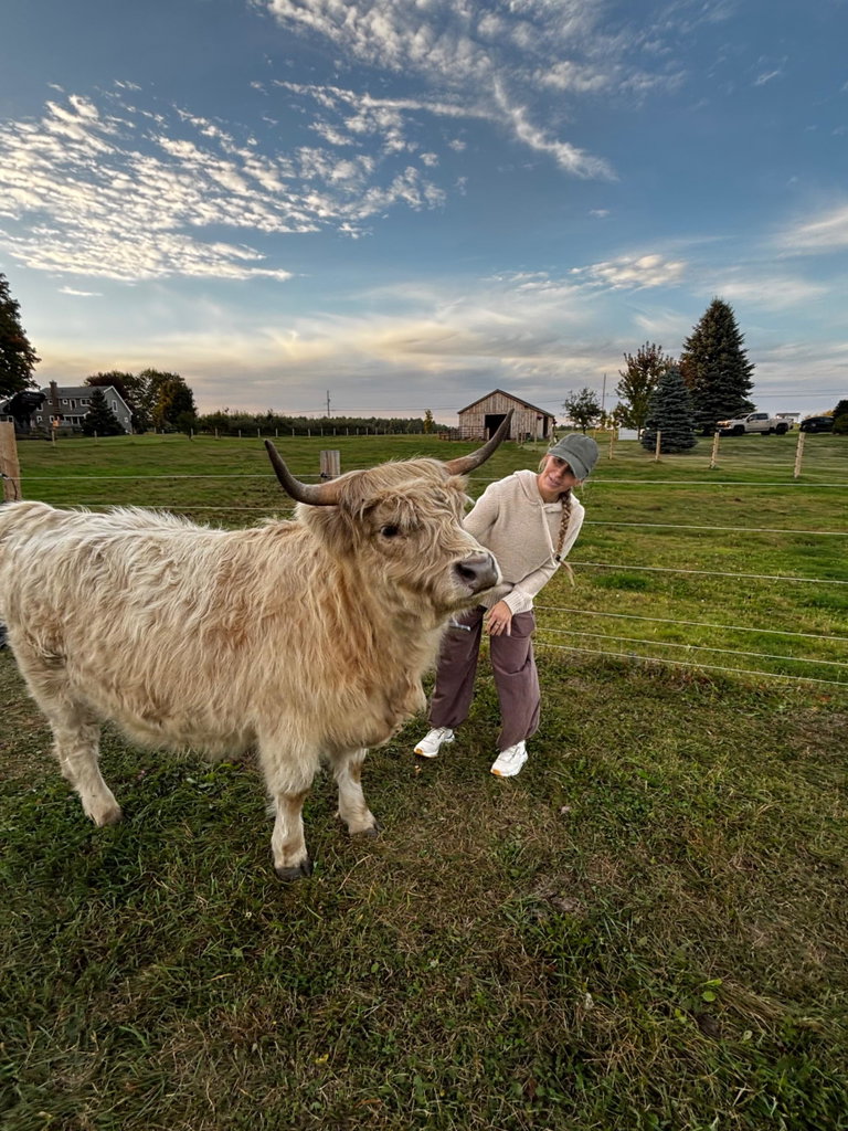 Cow Cuddles, photo 3