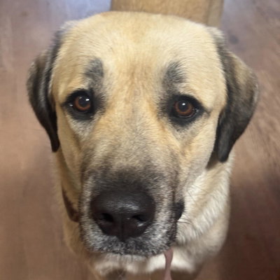 Ruby profile picture