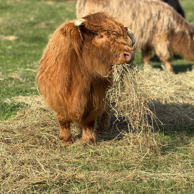 Winnie profile picture