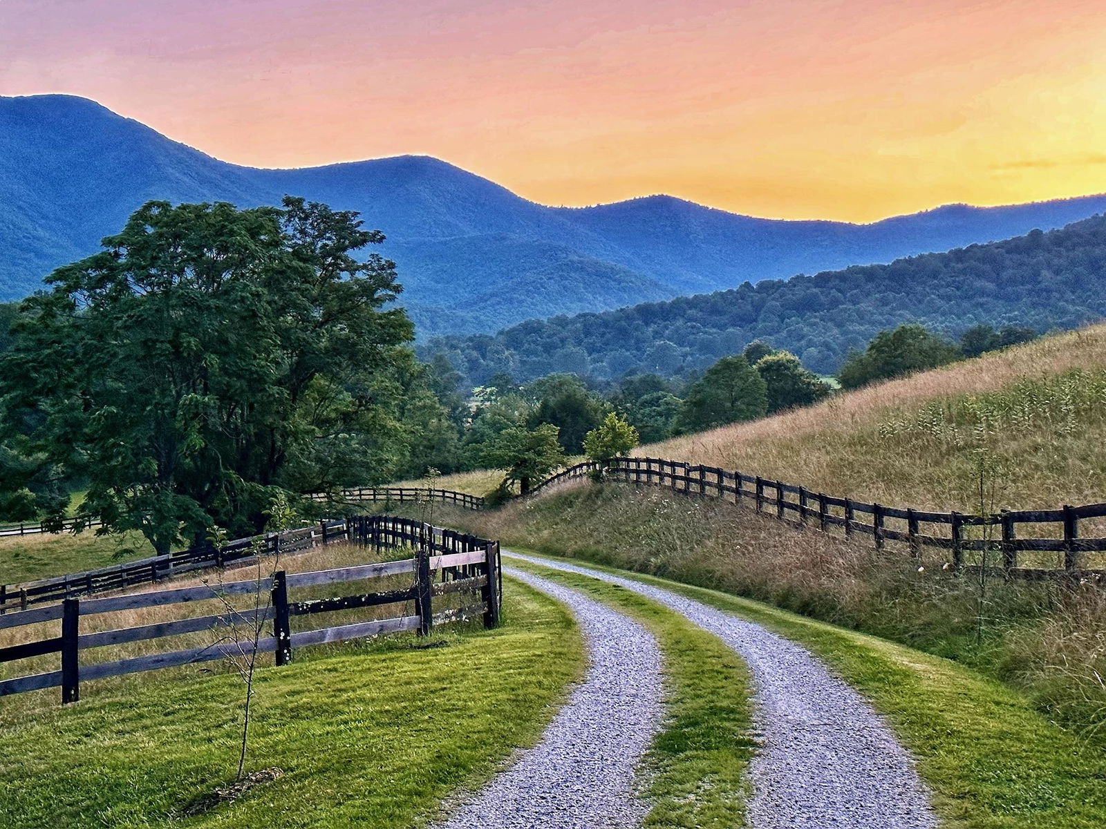 Virginia Pasture Donkey Boarding