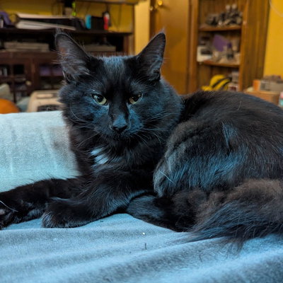 Winkie profile picture